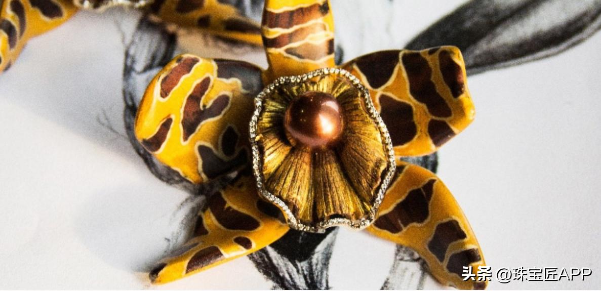 把竹子、树枝做成高级珠宝？这个来自巴西的鬼才设计师不一般！