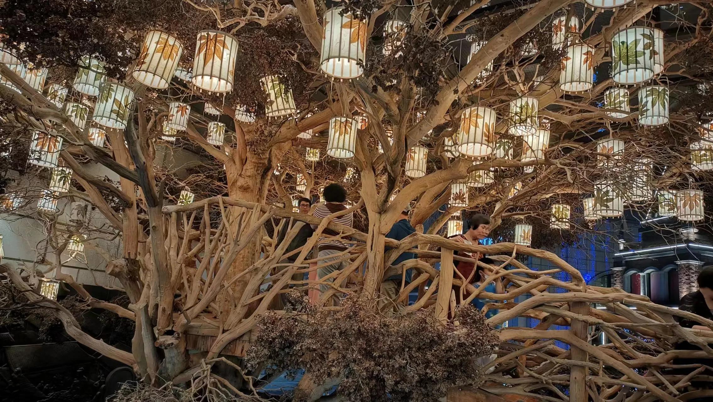 滇黔之行,川渝黔之行