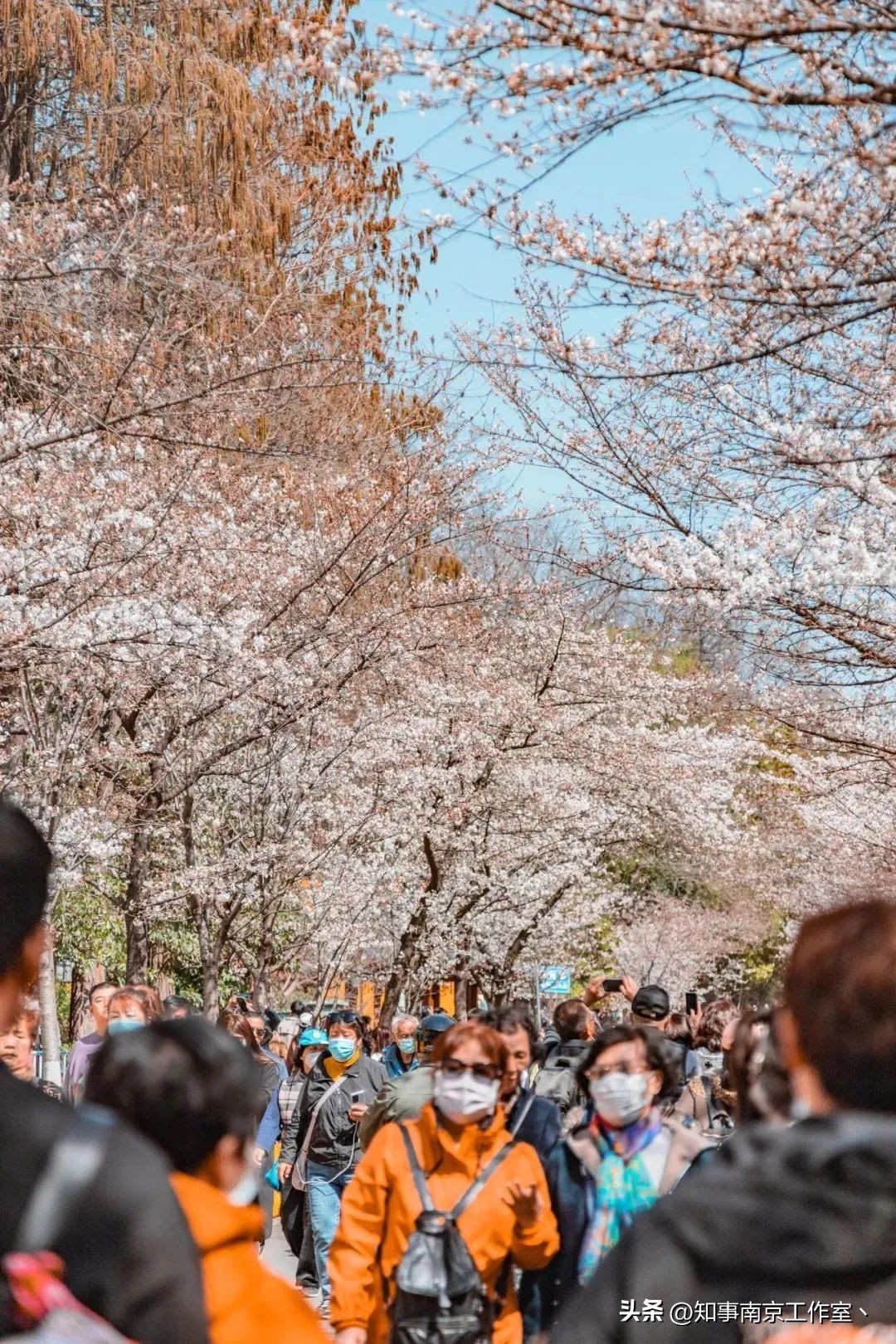 在南京来科巷就三件事：排队、排队、排队！