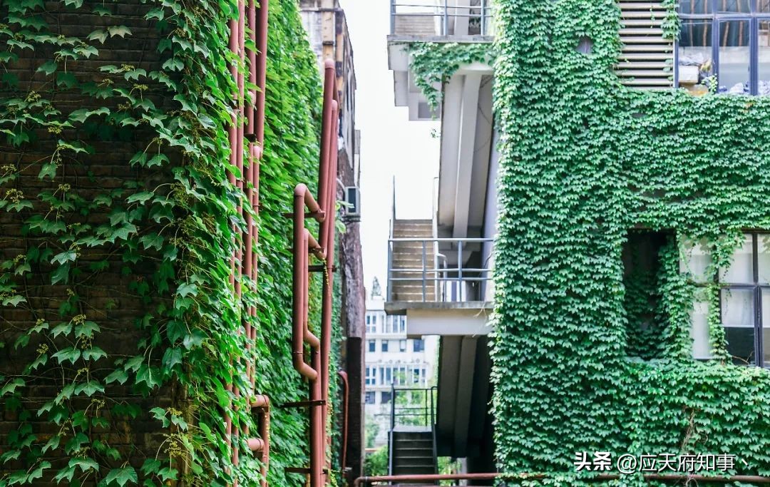 来南京不能错过的小众打卡地,南京江宁小众打卡点