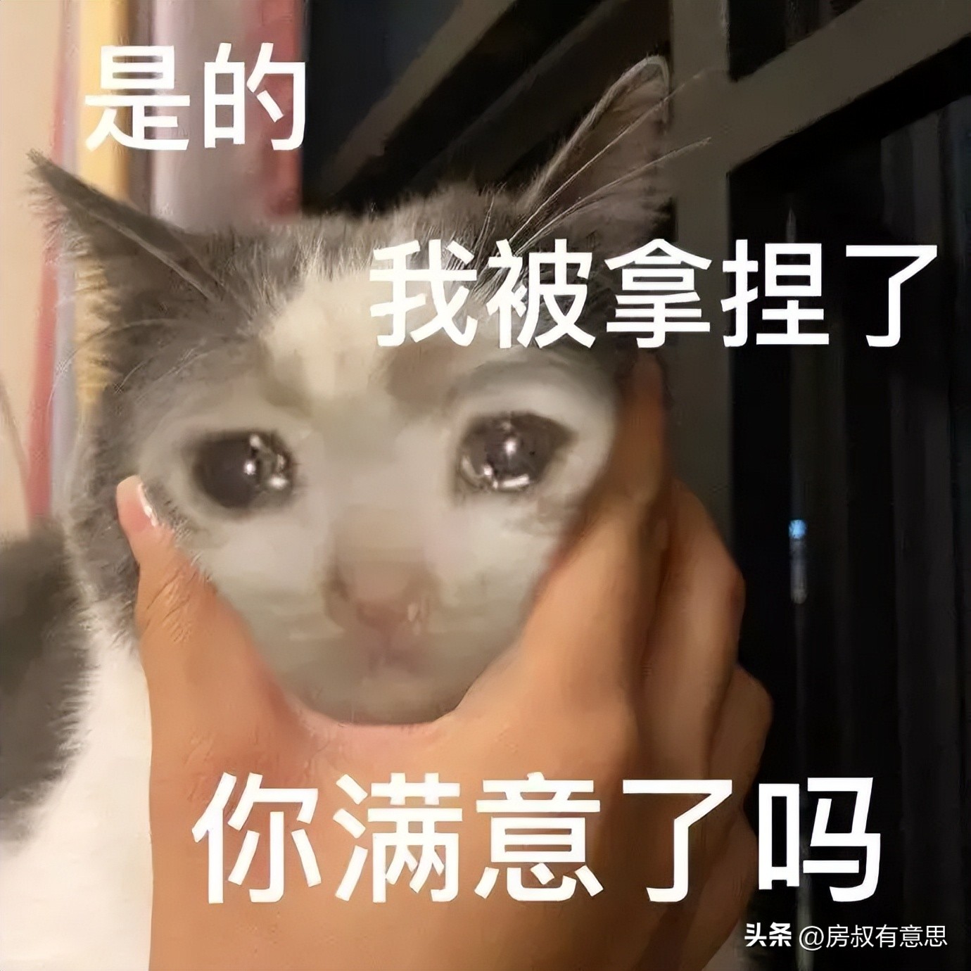 世界杯期间赌球为什么会被抓,世界杯竞猜多少人倾家荡产