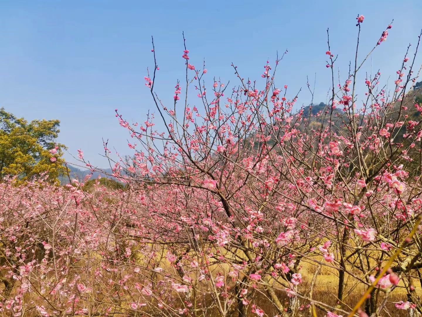 做理财技巧,做好财务的要点