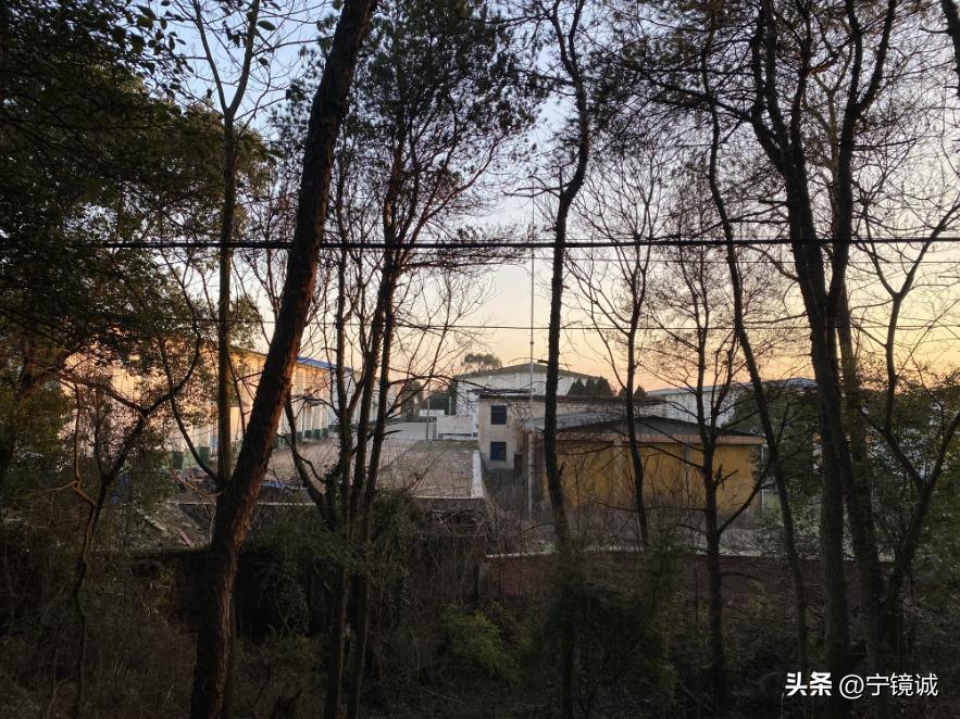 关于胡同学的案子解决了吗,胡同学事件背后的反思