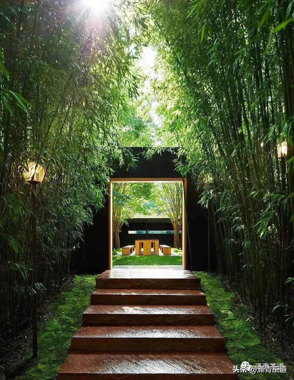 端午节如何吃粽子喝茶更健康,端午节吃粽子搭配茶解腻更健康