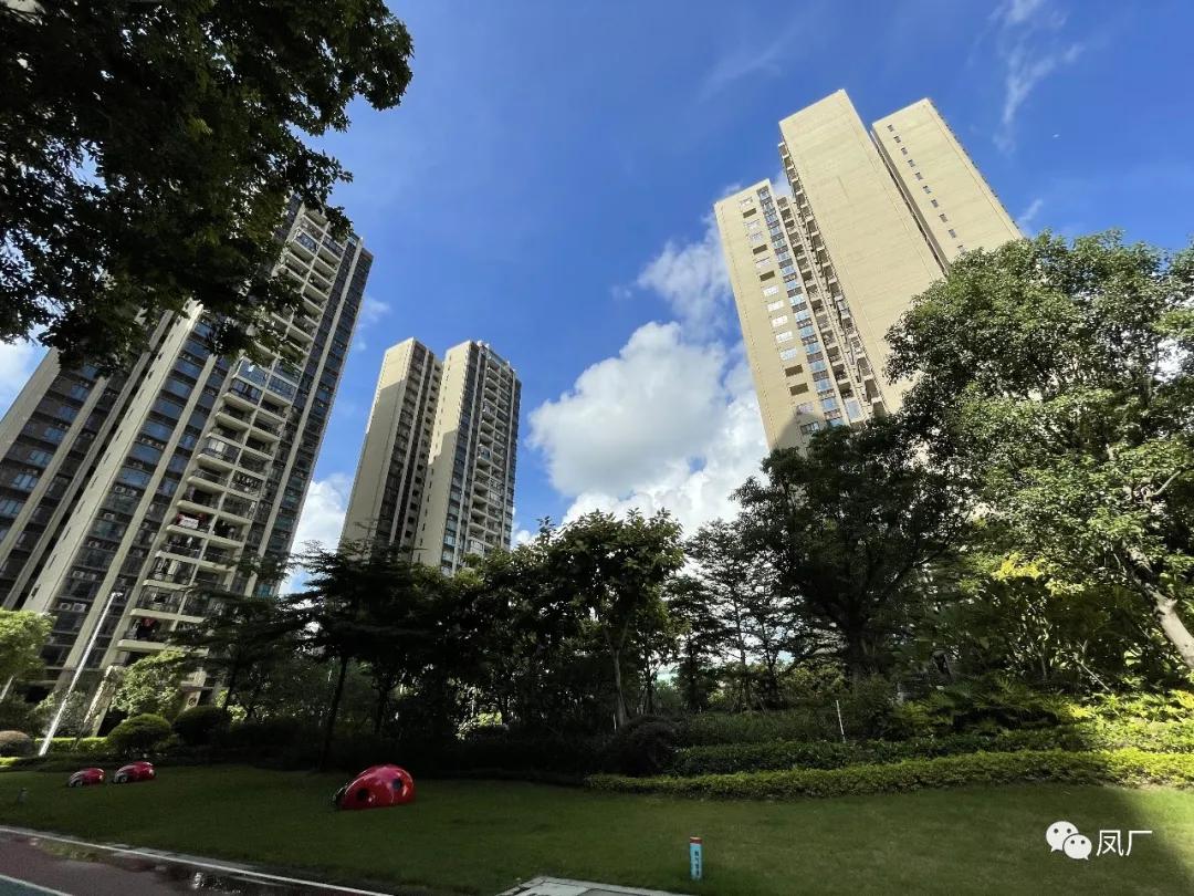 容桂东部：凤凰湾入秋了（多图）