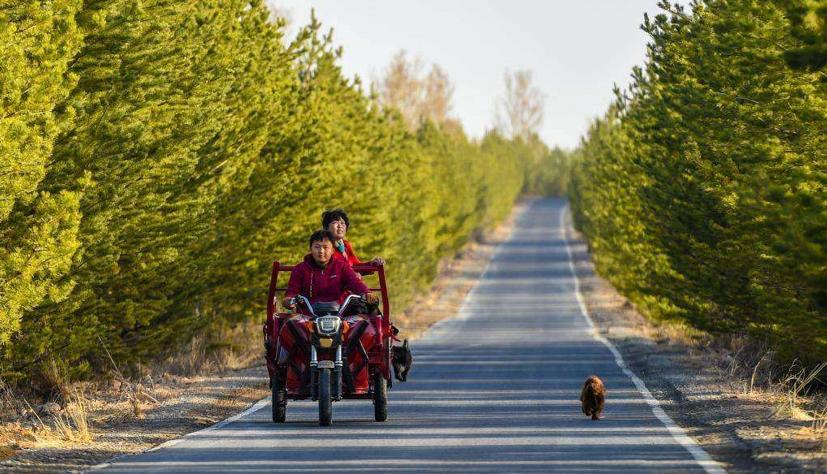 19岁的女儿被迫嫁到沙漠,19岁被迫嫁进沙漠