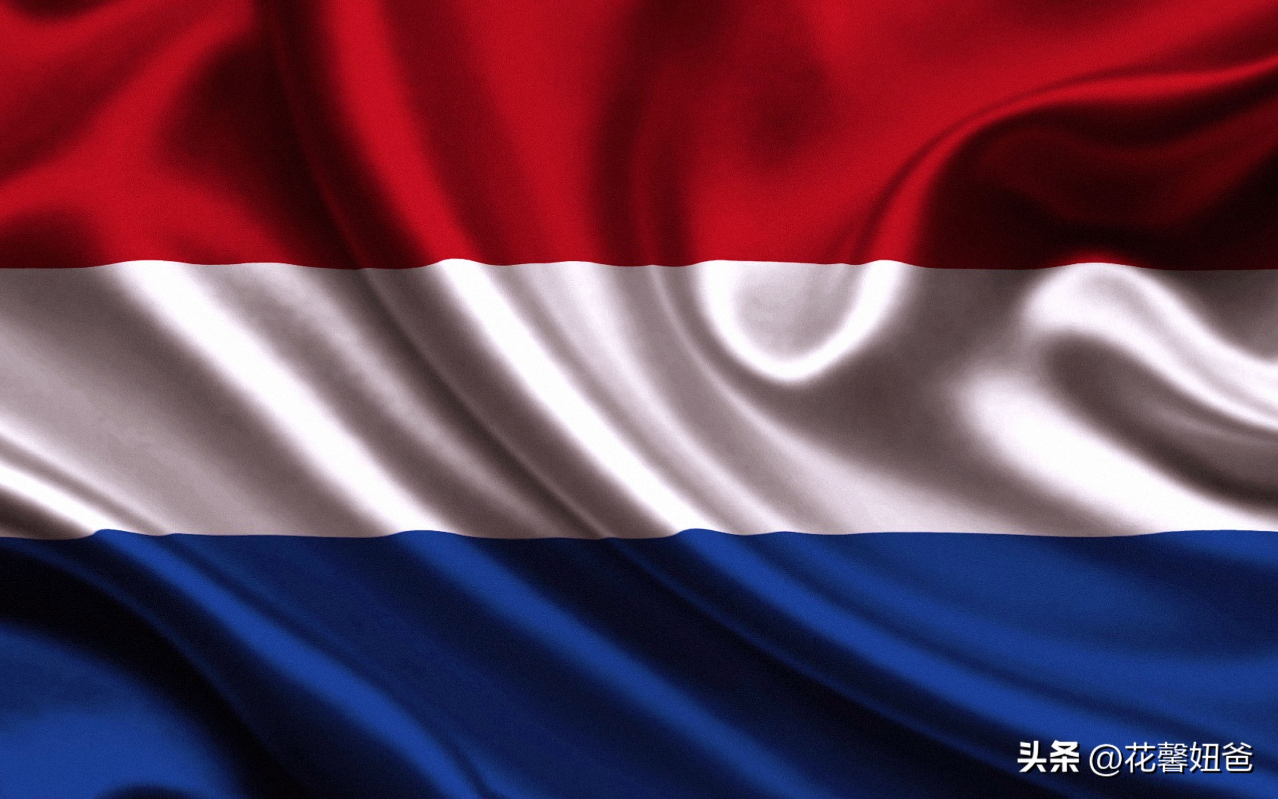 卡塔尔世界杯荷兰,卡塔尔世界杯观赛指南书籍