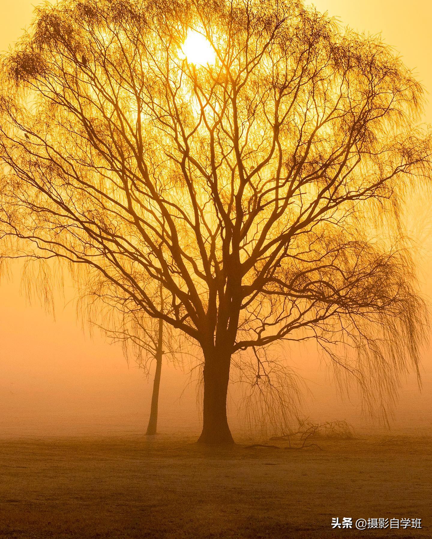 夏天怎么拍照更有夏天感觉,如何拍好夏天的照片