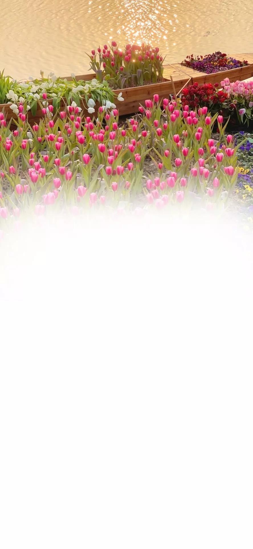 微信聊天背景图片,微信聊天背景图ins风