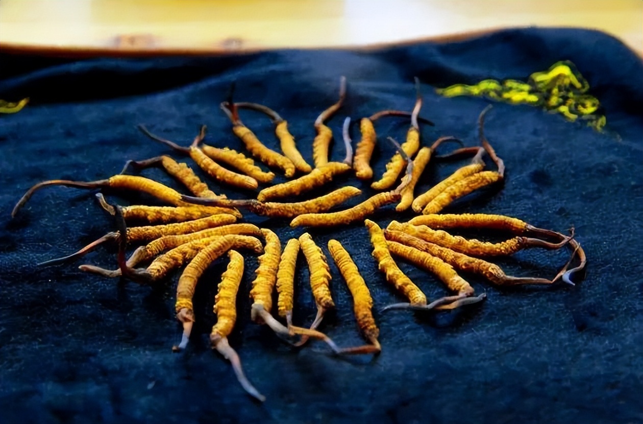 藏医藏药藏文化,千年藏医藏药