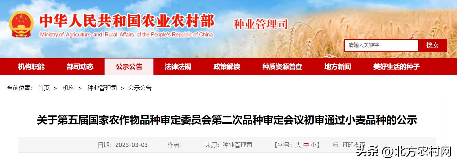 黄淮麦区新品种,黄淮小麦品种前十名