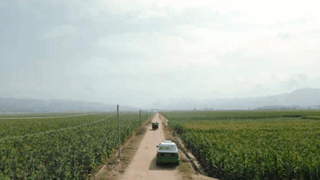 豆瓣评分9.4全程哭着看完,豆瓣9.2分结局逆转