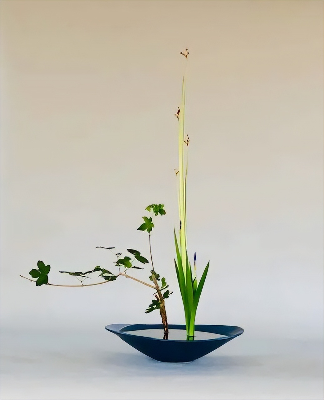 日式插花技法,日式插花的特色及技巧