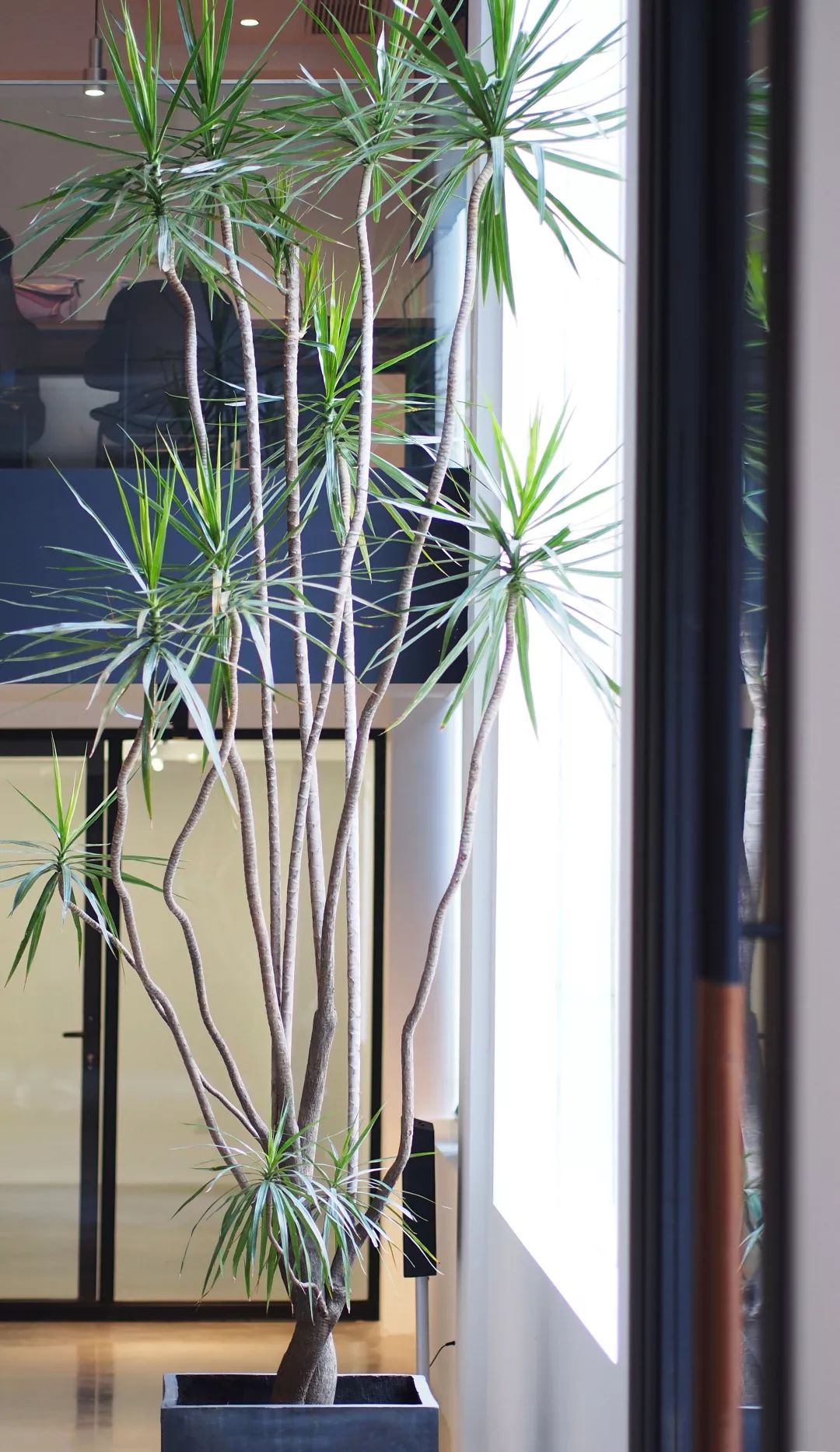 杭州吴越画室成人定制班,杭州吴越画室校考冲刺