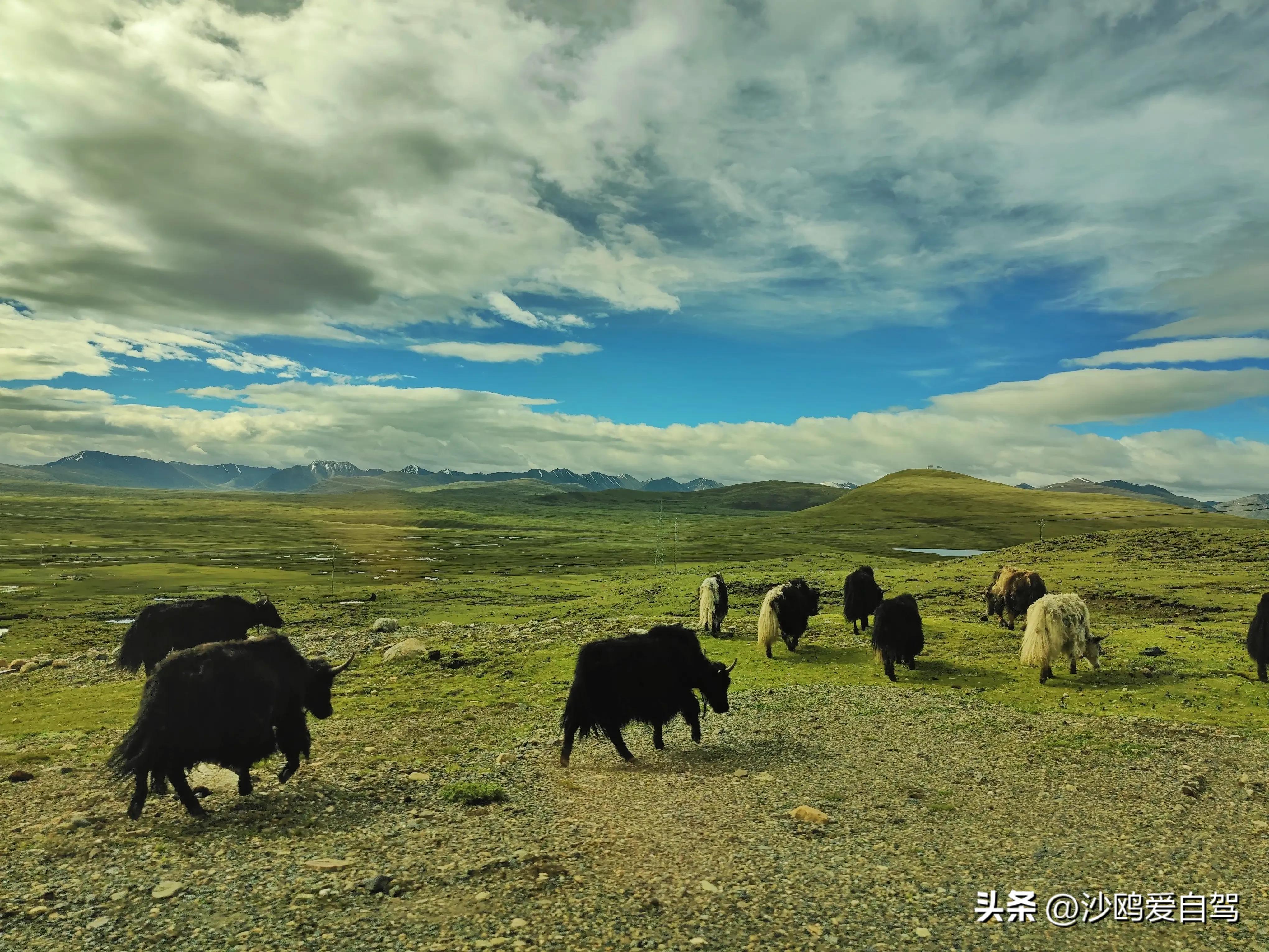 西藏自驾游三大圣湖,自驾西藏行摄之旅米堆冰川