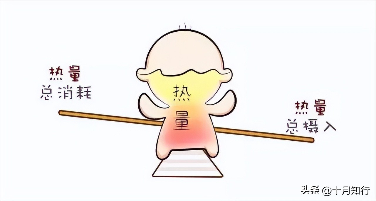 怎么减上腹部脂肪最快最有效,如何高效减掉腹部脂肪