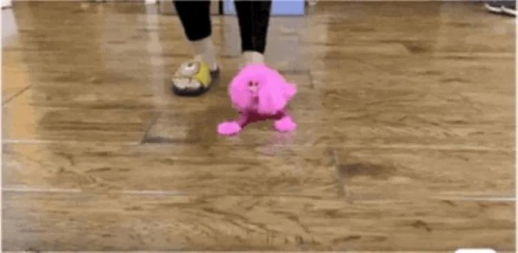 情侣搞笑奇葩礼物送什么,送什么礼物最奇葩