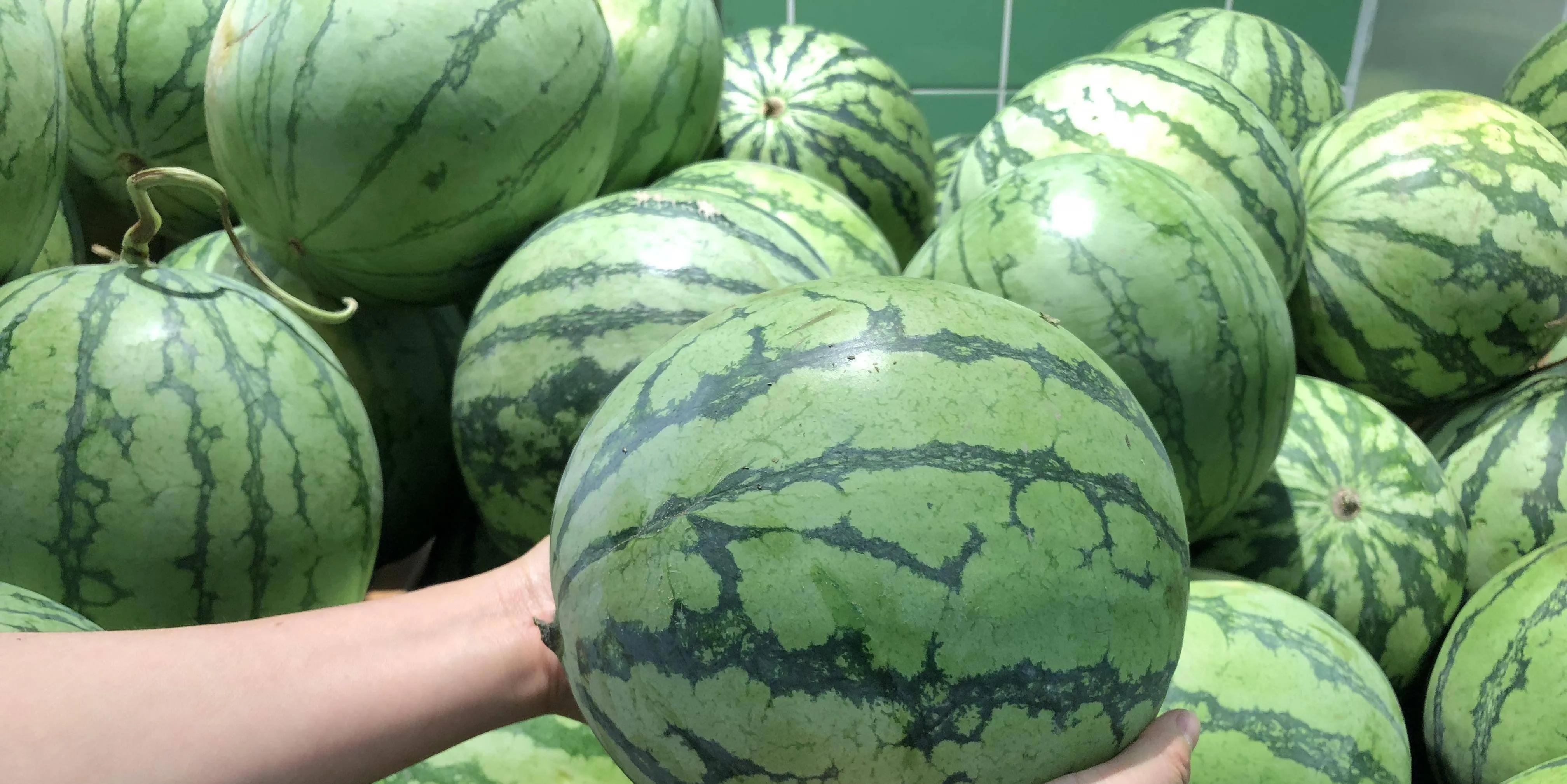 中国八个西瓜之乡,中国十大西瓜之乡名单