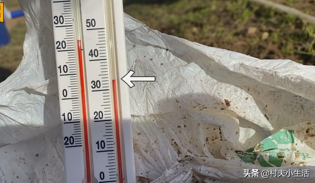 过期食用油如何处理后可以做肥料,用过的食用油怎样变成肥料