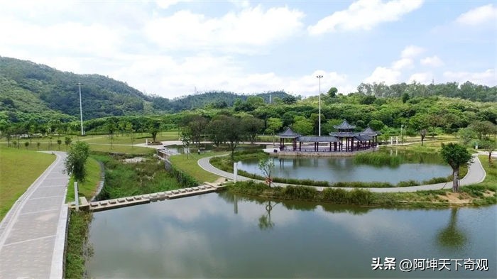 致全市垂钓爱好者,野钓小众的钓鱼地点