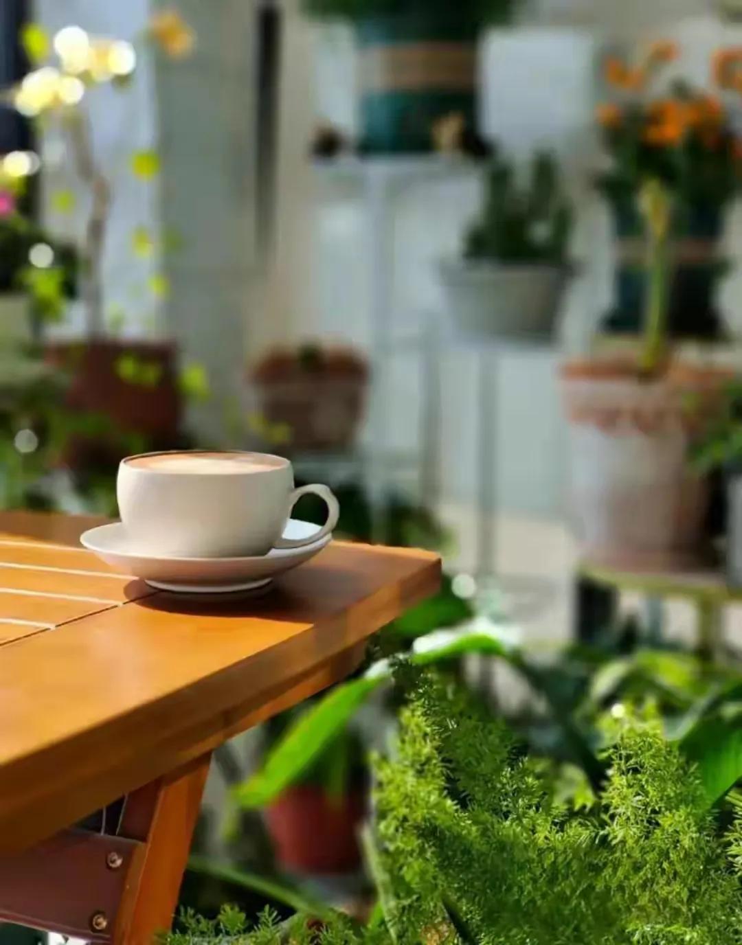 你发现你的孩子变了吗,孩子的大脑一天的变化