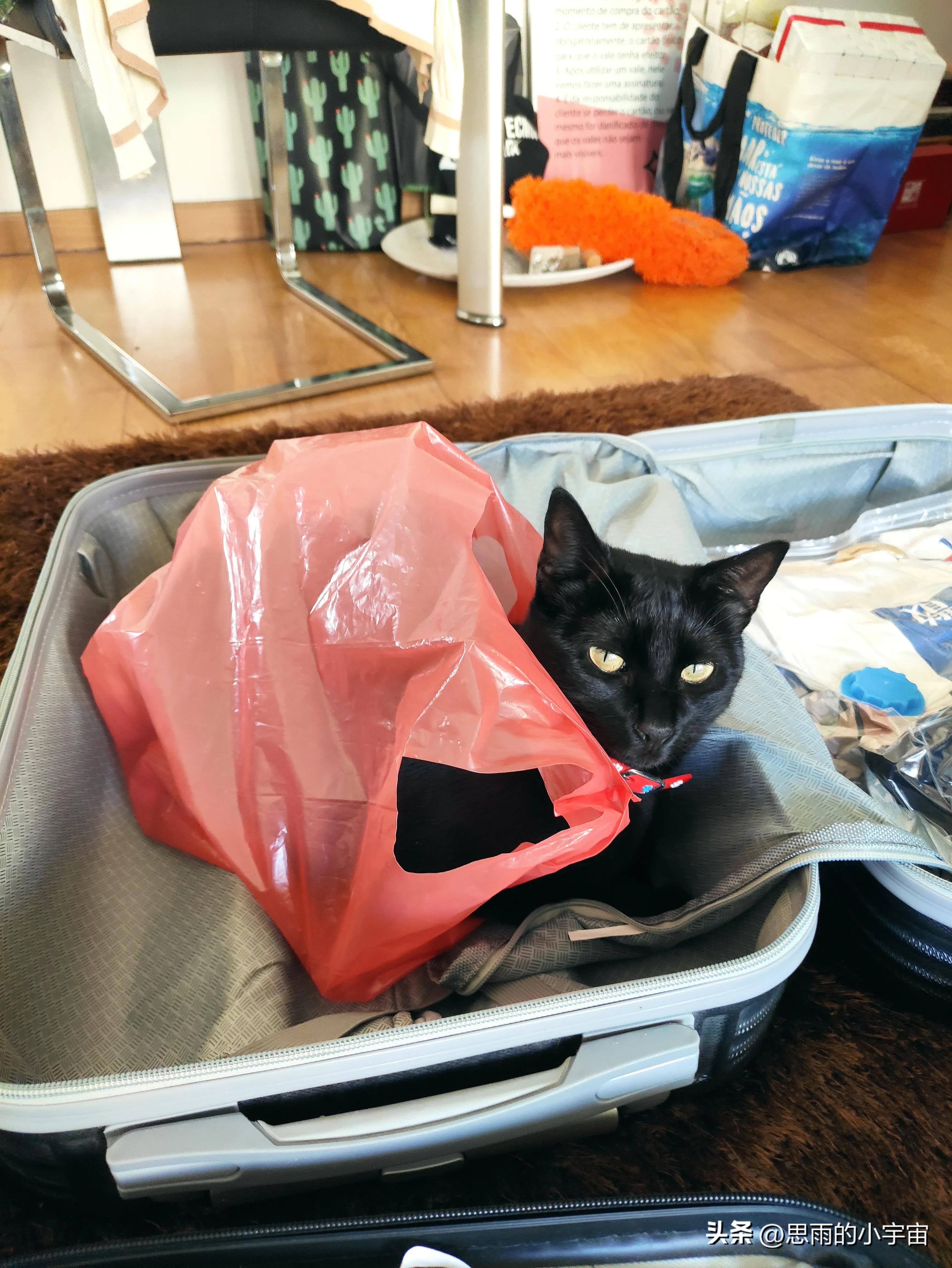 去非洲安哥拉行李必备清单