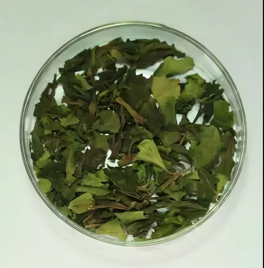 国家禁毒宣传标准,国家禁毒办禁毒教育视频