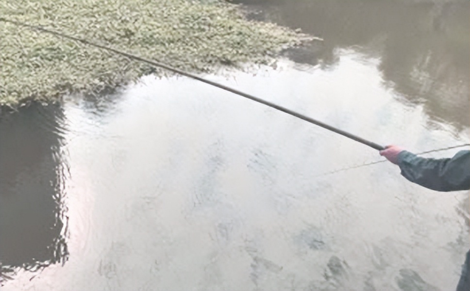 新手买钓鱼竿怎么选择钓位,钓鱼如何选择钓竿