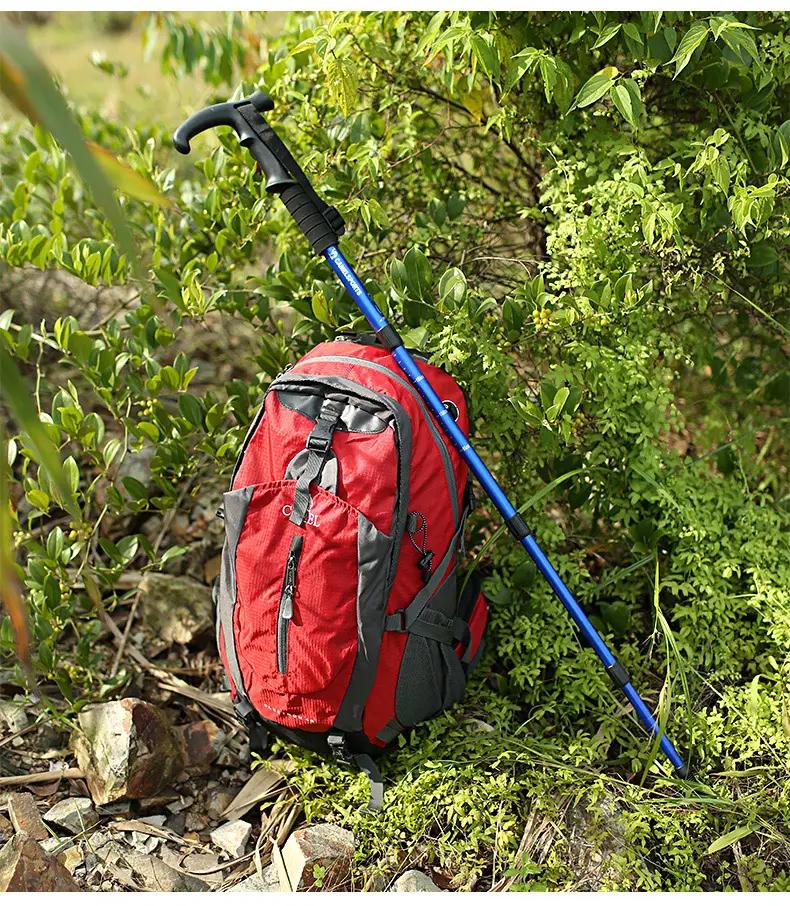 蛇为什么在一个地方不走,蛇为什么靠边走