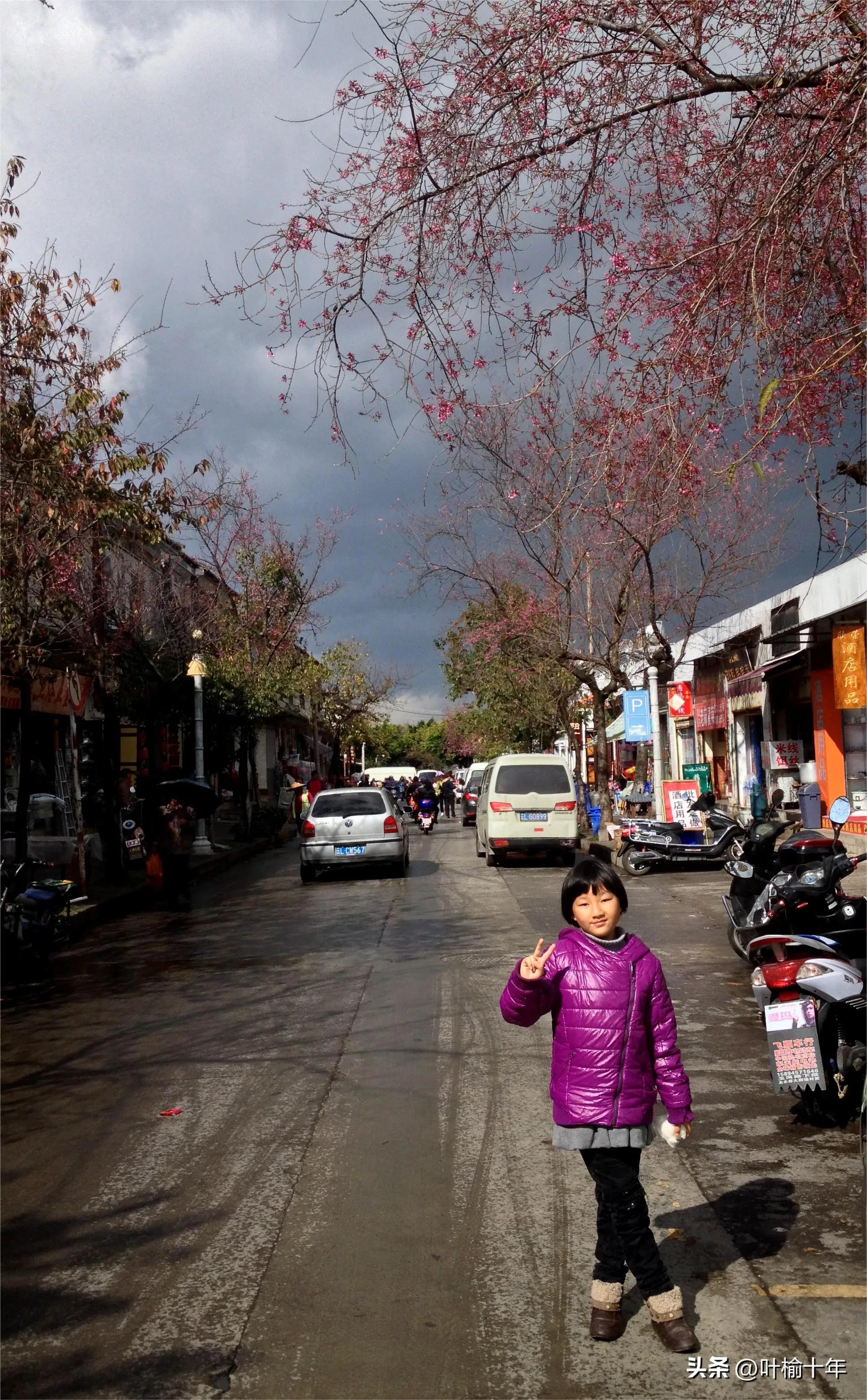 在云南定居的真实感受,北方人在云南定居的真实感受