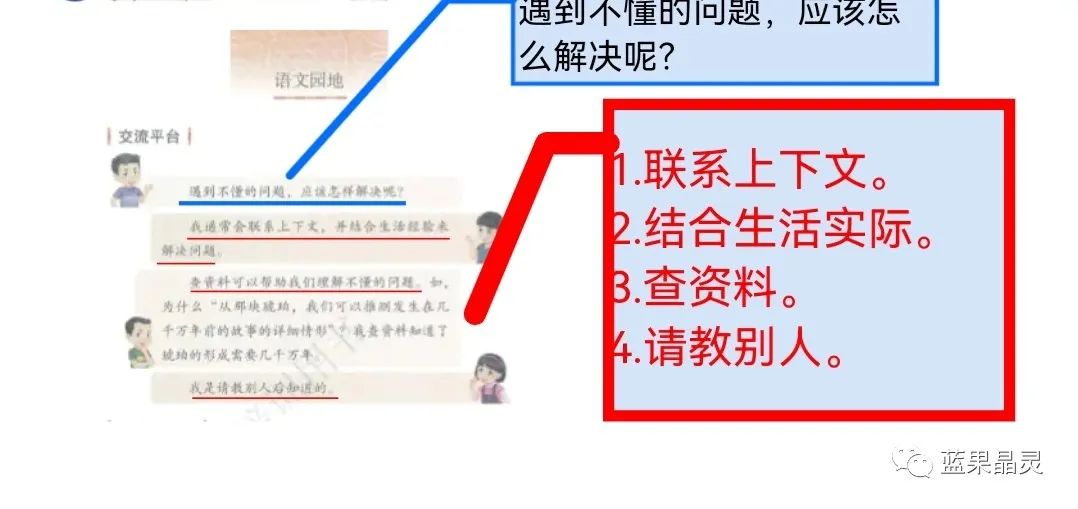 四下语文:第2单元课本内容(复习+练习)