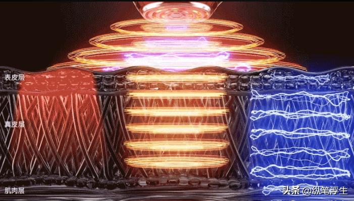 个护电器爆款榜,十大安全保护电器品牌