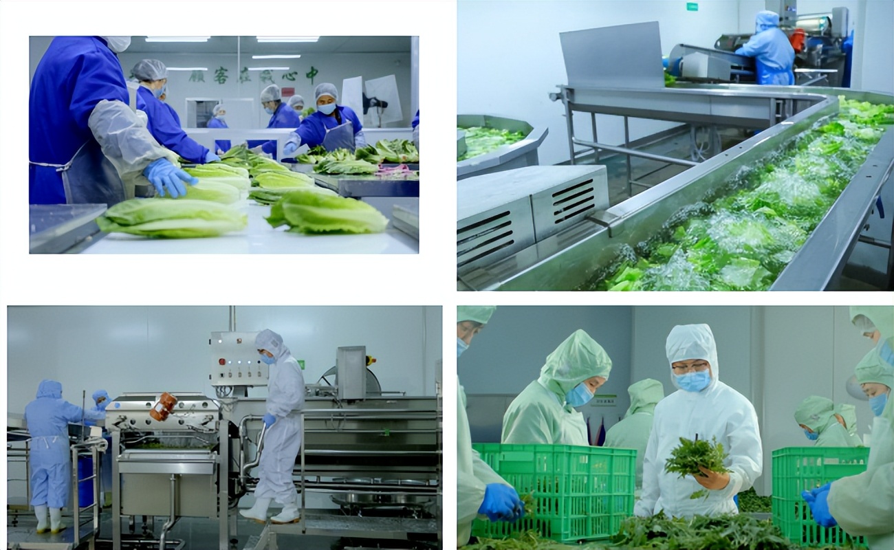 观麦生鲜怎么样,观麦生鲜好做吗