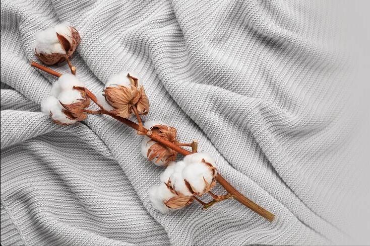 生活小妙招裤脏了怎么洗,新买的内裤正确清洗方法