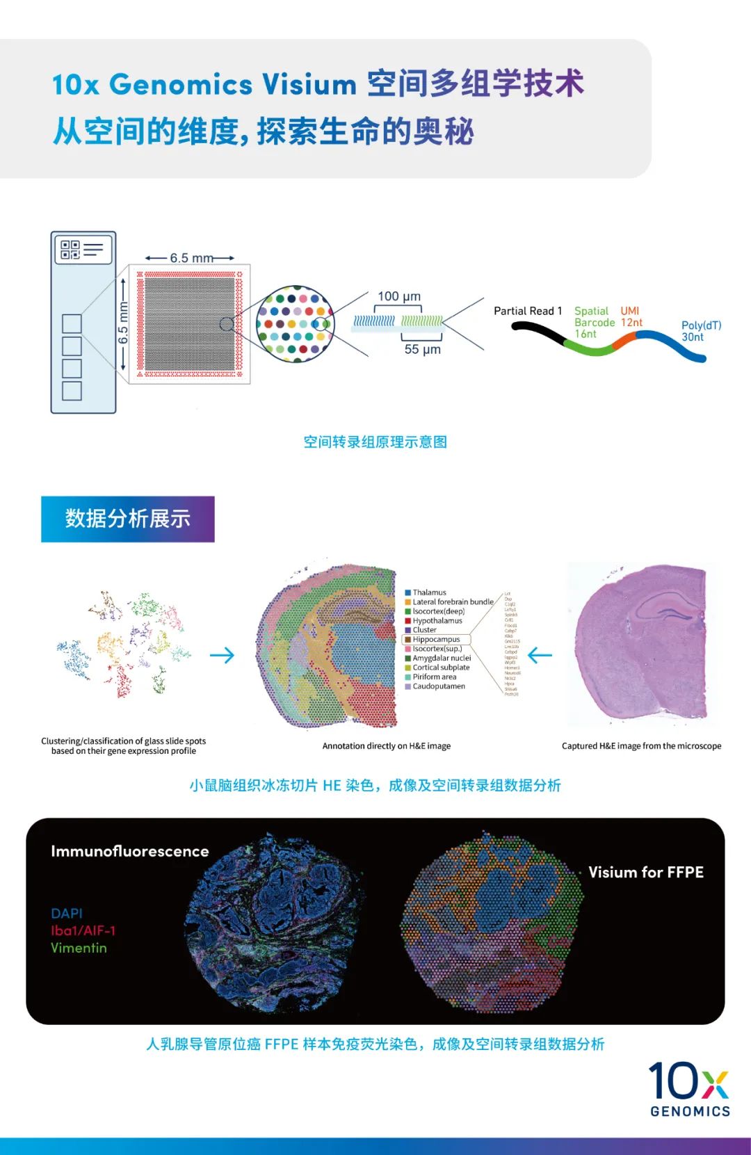谁与争锋1154,谁与争锋1878