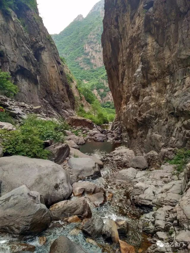 小五台山金莲花坡,小五台金莲花