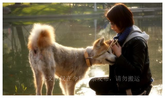 狗为啥喜欢闻狗屁股,为什么狗喜欢闻狗屁股