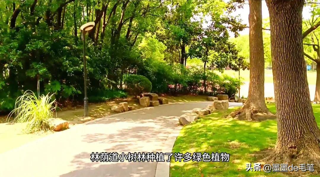 上海南京路网红打卡景点,上海景点网红街免费打卡圣地