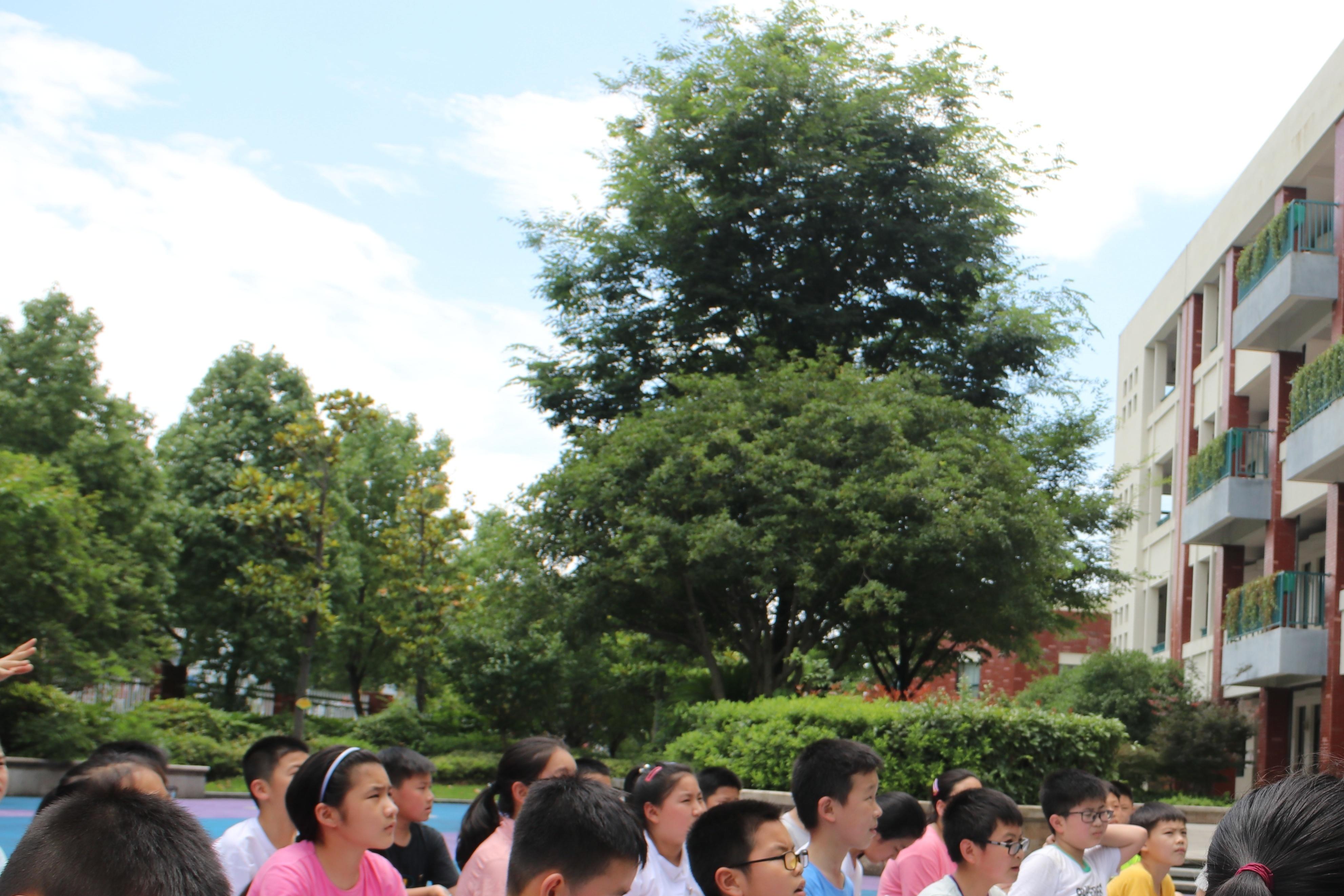 点赞人民的好老师,宁波市最美科技追梦人刘峰