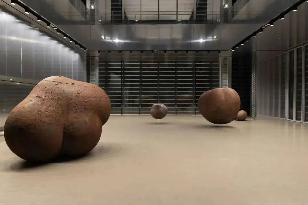 最高级的素质,顶级身体形态