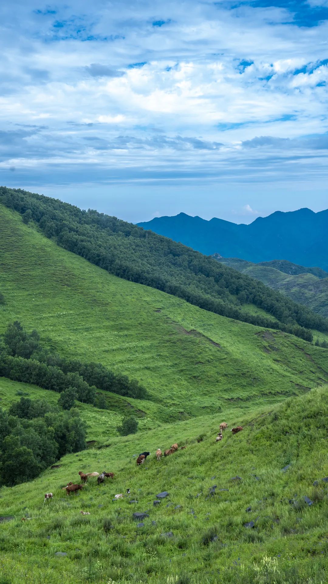 哪才算真正的北京,真实的北京现状