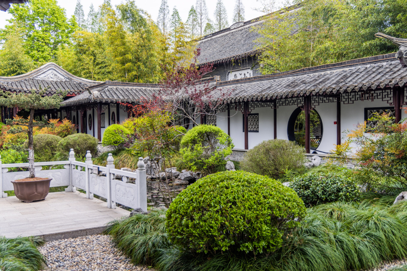 春日下江南杭州,春日下江南古镇