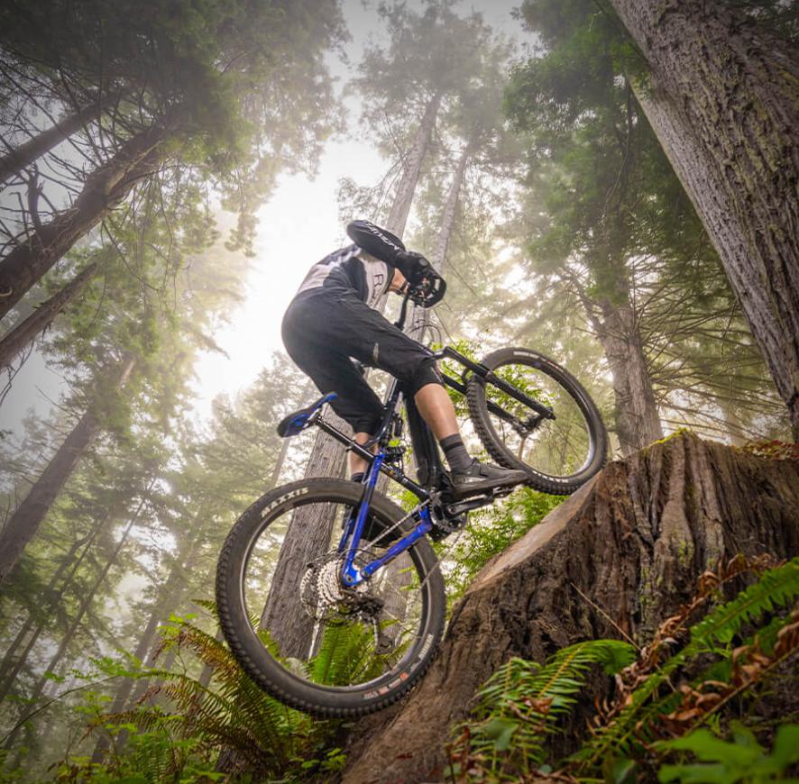 山地车雅马哈,雅马哈山地公路车