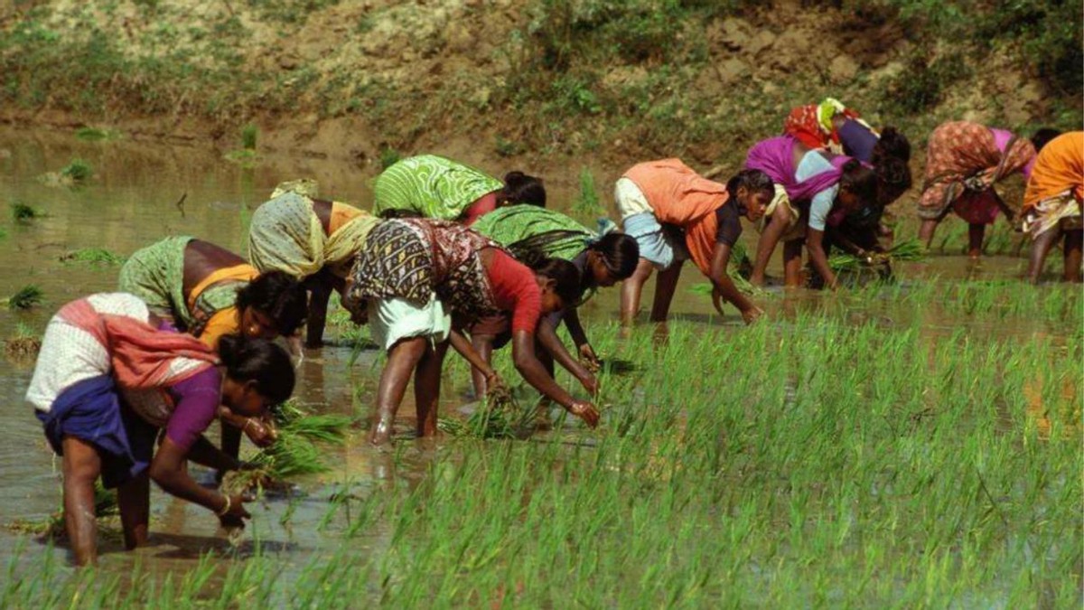 俄罗斯冬季耕地,俄罗斯冬天储备粮食