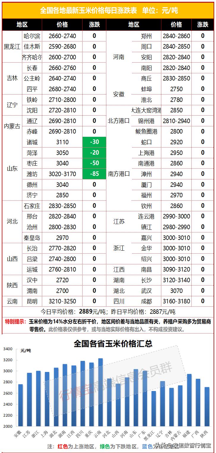 今日玉米行情走势预判,玉米价格能大跌吗玉米的今日行情