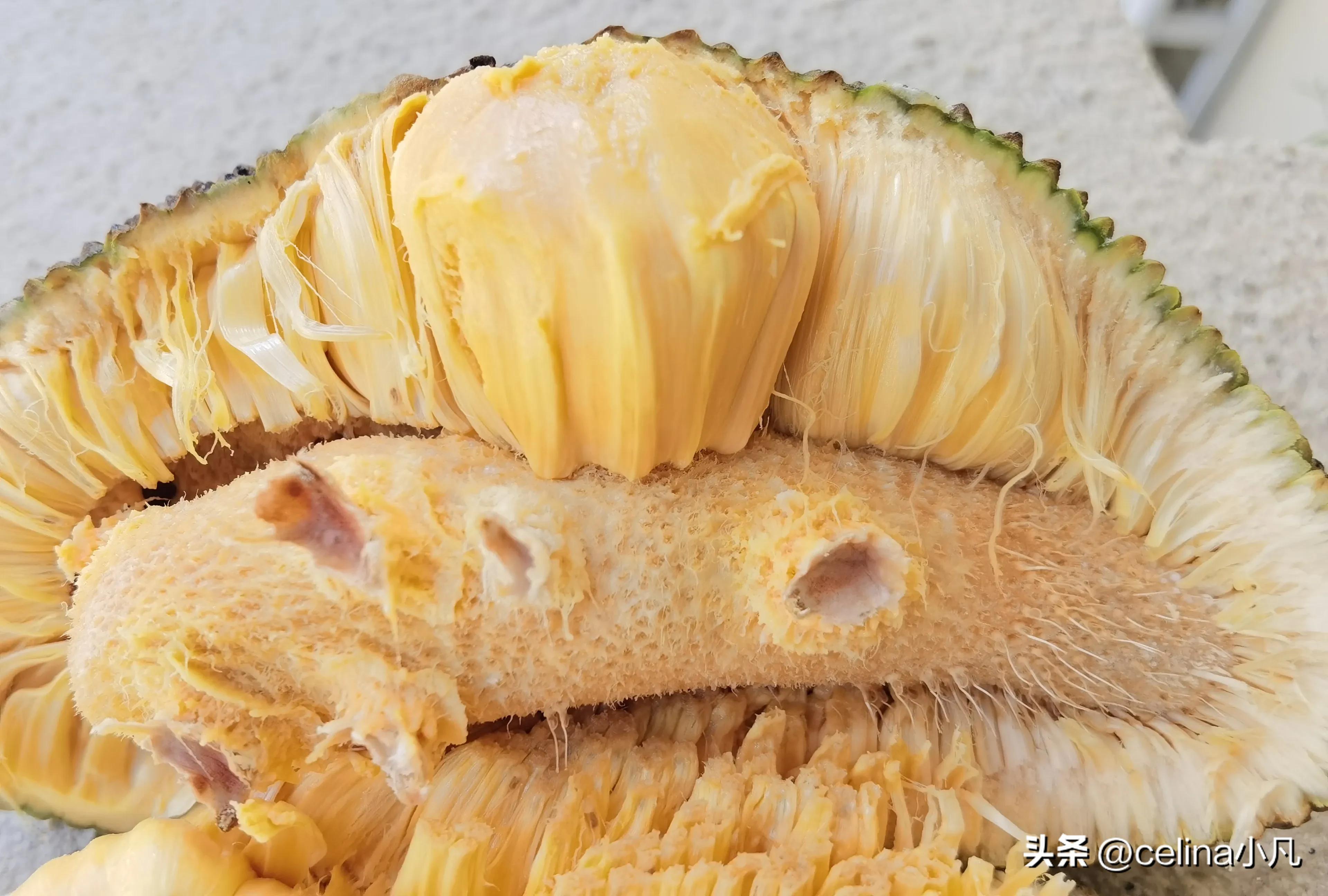 煤气味儿特别浓,煤气味儿的榴莲