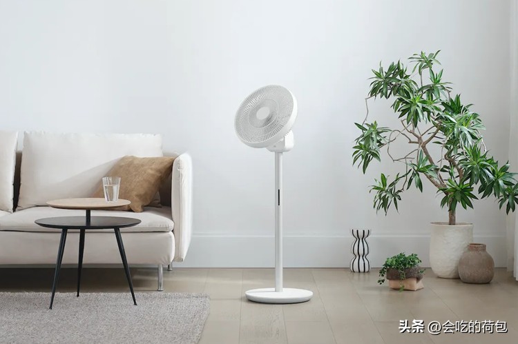 电烤箱实用还是破壁机实用,电烤箱破壁机哪个好