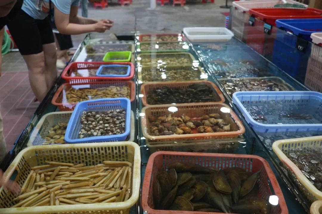 夏日的汕尾，是放荡不羁的鲜上加鲜