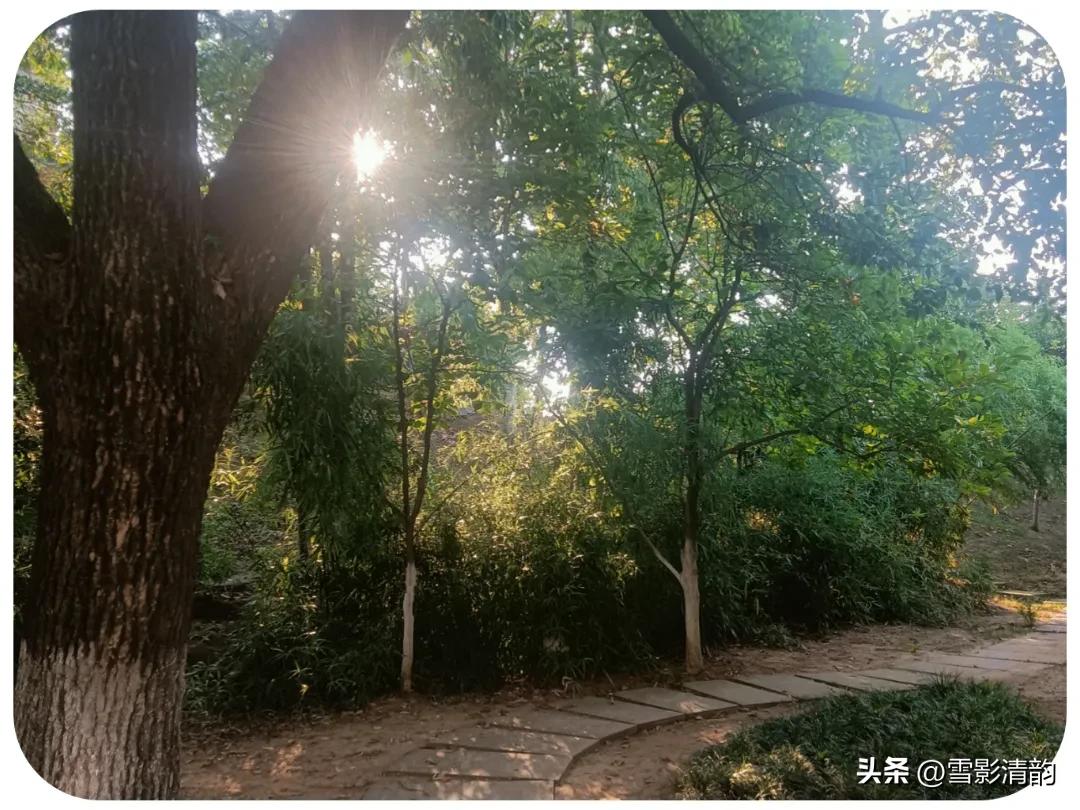 「文人情怀」月影|《吟秋》组诗