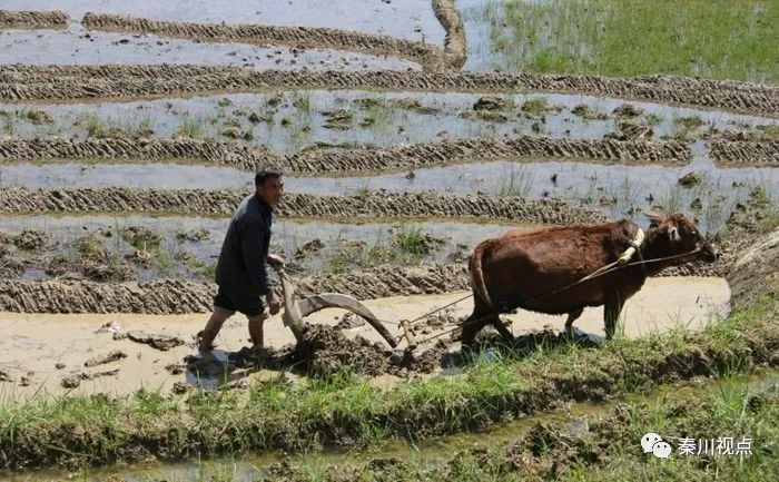 如何看待农民工资,农民工对薪资的需求